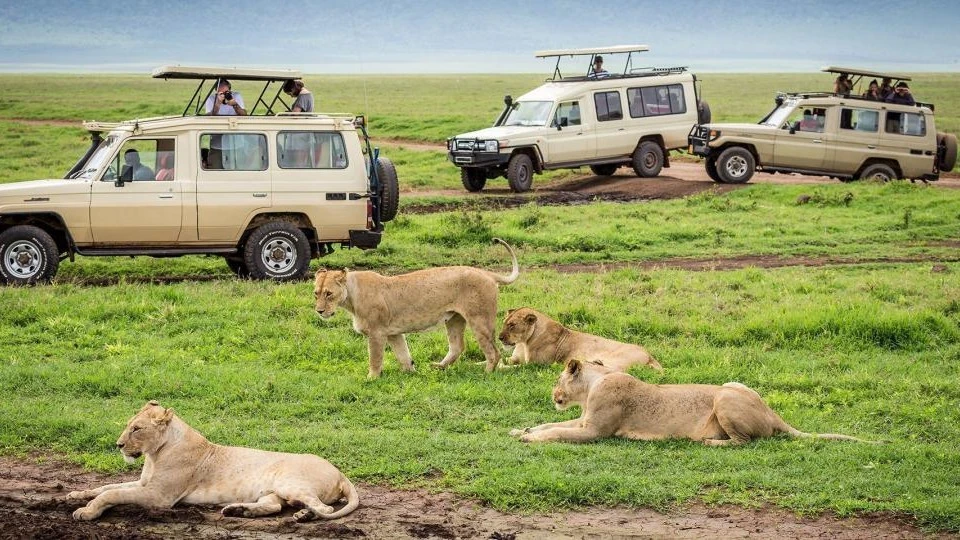 Tourists in Arusha