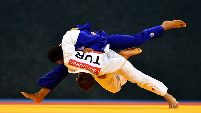 An illustration of Judo play