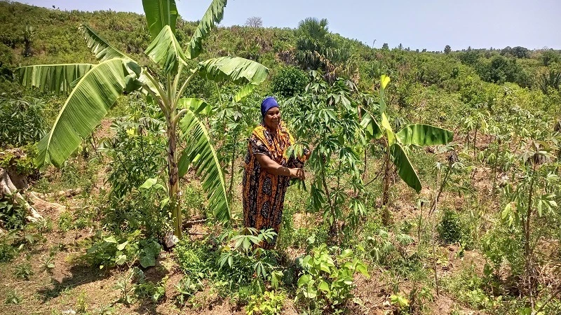 
Mwajuma Rajab (54), a TASAF grantee, works on her farm in Kimbiji Ward, Dar es Salaam. 