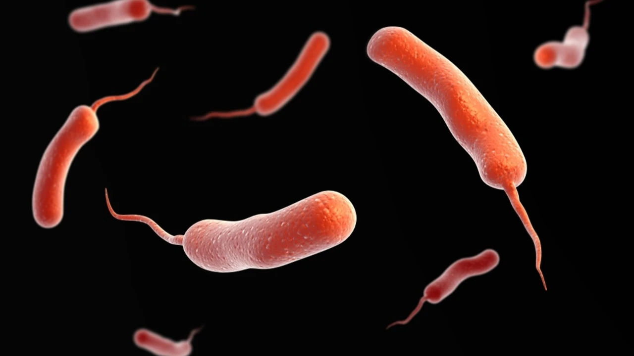 Conceptual image of vibrio cholerae causing cholera