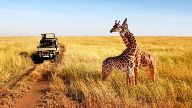 Tourism attraction in Tanzania