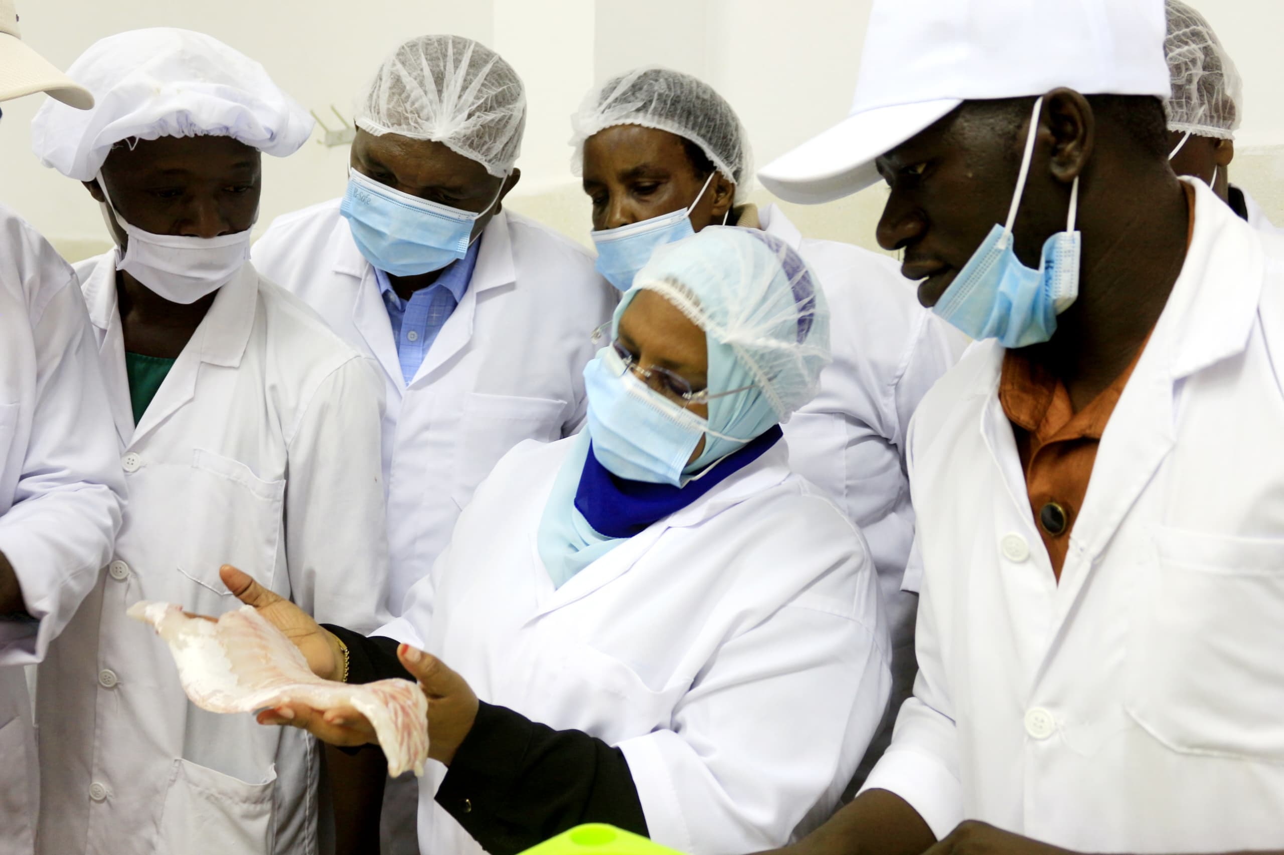 Livestock and Fisheries minister Dr Ashatu Kijaji (2nd-R) has a feel of Nile perch fillet while on a tour of a fish processing factory in Muleba District, Kagera Region, on Monday. 