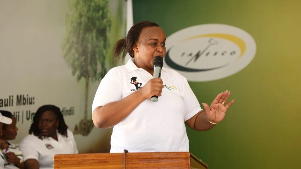 Renata Ndege, Deputy Managing Director for Planning, Research and Investment at the Tanzania Electric Supply Company (TANESCO)