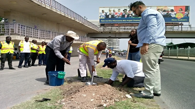 Dr. Athumani Kihamia (DART CEO), Rahim Kangezi (Africa Carbon Agency CEO) plant a tree at the launch of a tree planting project along the BRT corridor near Morocco bus station in Dar es Salaam. The project aims to plant one million trees