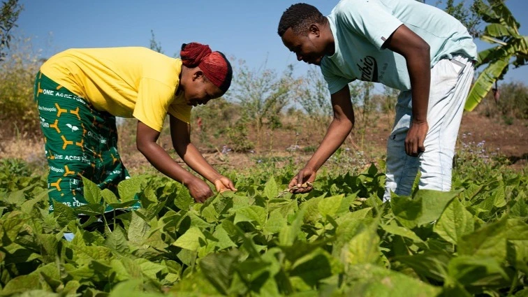 These new Climate Weeks aim to address both the urgency of global climate action and the practical challenges