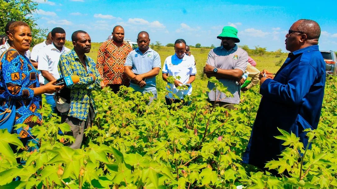 Mkuu wa Mkoa wa Shinyanga, Anamringi Macha, akiwa kwenye mashamba ya wakulima wa pamba wilayani Shinyanga, kuhamasisha kilimo cha kisasa ili wapate mavuno