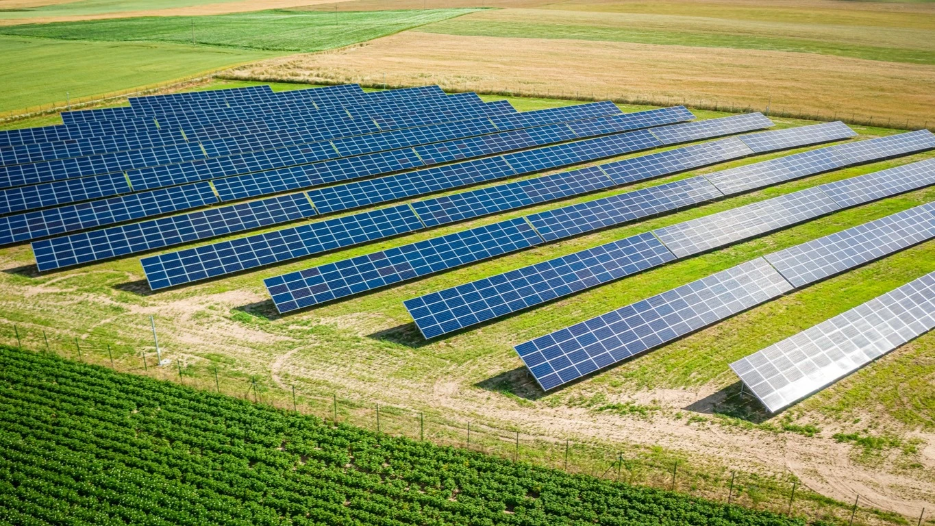 A solar panel farm.