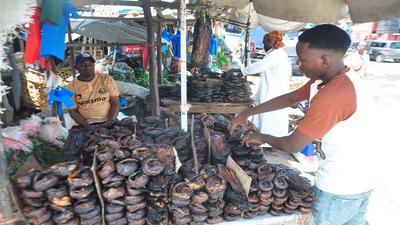 Smoked and otherwise dried mudfish on sale at Dar es Salaam’s much-frequented Manzese mixed-goods market yesterday. The going retail price ranged between 1,000/- and 5,000/- apiece, largely depending on size. 