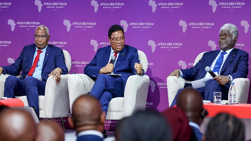 Prime Minister Kassim Majaliwa pictured in Abidjan, Ivory Coast, on Monday taking part in a panel discussion on ways to boost collaboration between the public sector and the private sector towards driving development. 